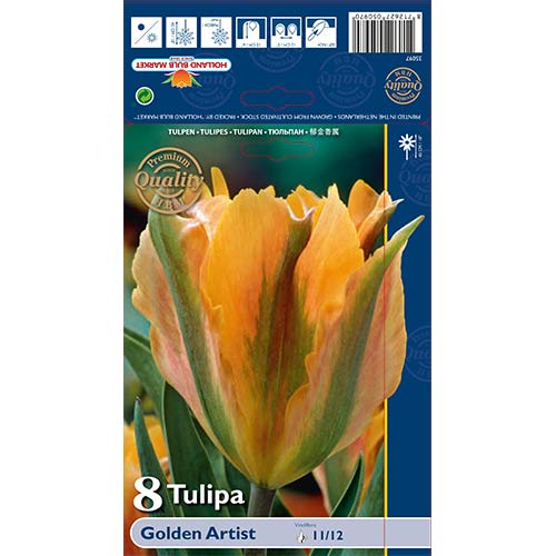 Tulip Golden Artist interface.art foto 1 Tulip Golden Artist interface.image 1 interface.art 68032