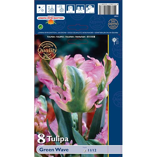 Tulip Green Wave interface.art foto 1 Tulip Green Wave interface.image 1 interface.art 67720