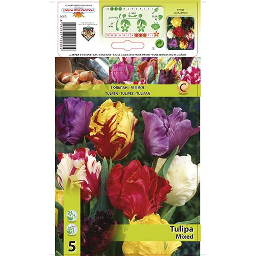 Tulip Mixed interface.art foto 1 Tulip Mixed interface.image 1 interface.art 68085