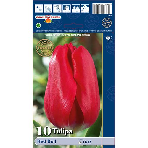 Tulip Red Bull interface.image 1 interface.art 70261