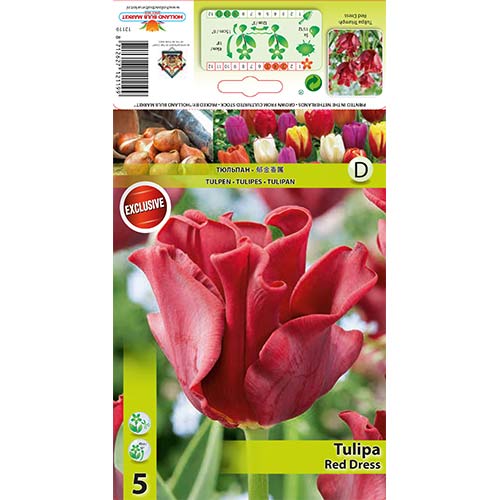Tulip Red Dress interface.art foto 1 Tulip Red Dress interface.image 1 interface.art 67821