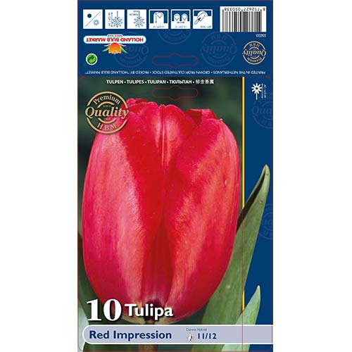 Tulip Red Impression interface.art foto 1 Tulip Red Impression interface.image 1 interface.art 67813