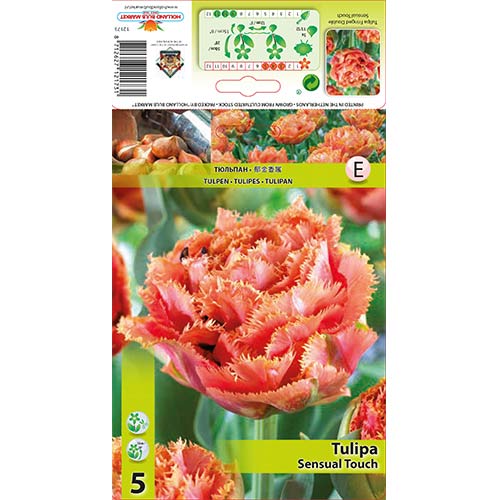 Tulip Sensual Touch interface.image 1 interface.art 67831