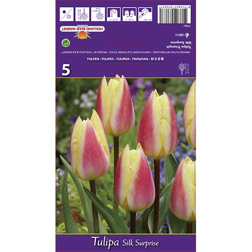 Tulip Silk Surprise interface.art foto 1 Tulip Silk Surprise interface.image 1 interface.art 68117