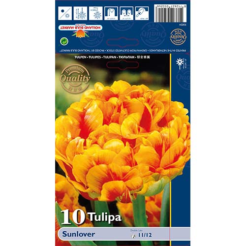Tulip Sunlover interface.art foto 1 Tulip Sunlover interface.image 1 interface.art 68042