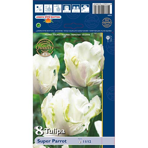Tulip Super Parrot interface.art foto 1 Tulip Super Parrot interface.image 1 interface.art 67802