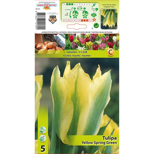 Tulip Yellow Spring Green interface.art foto 1 Tulip Yellow Spring Green interface.image 1 interface.art 67735