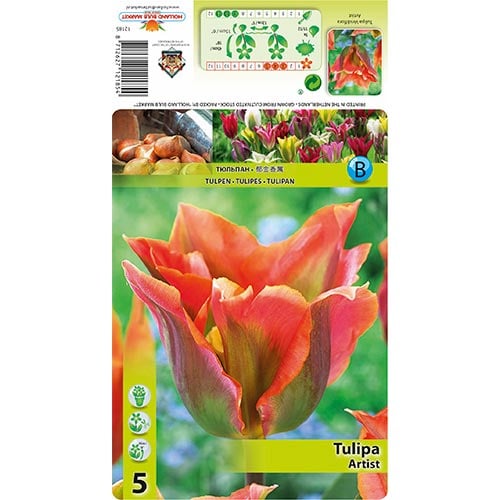 Tulp roheliste õitega (Viridiflora) Artist interface.art foto 1 Tulp roheliste õitega (Viridiflora) Artist interface.image 1 interface.art 68401