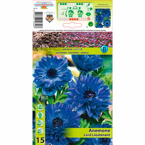 Ülane Lord Lieutenant interface.art foto 1 Ülane Lord Lieutenant interface.image 1 interface.art 76165