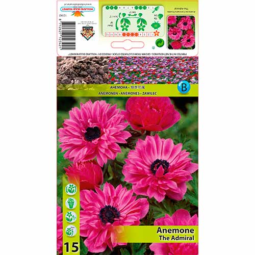 Ülane The Admiral interface.art foto 1 Ülane The Admiral interface.image 1 interface.art 76168