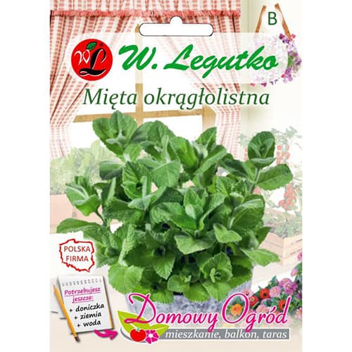 Ümmargune piparmünt interface.image 1 interface.art 69646