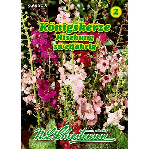 Vägihein Königskerze, segu interface.art foto 1 Vägihein Königskerze, segu interface.image 1 interface.art 87819
