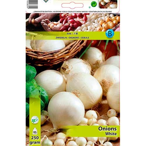 Valge sibul interface.art foto 1 Valge sibul interface.image 1 interface.art 70497