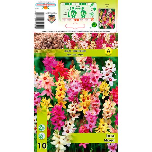 Vikerõis Mixed interface.image 1 interface.art 76295