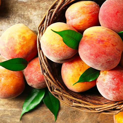 Virsik Drupi Qoll interface.image 1 interface.art 4292