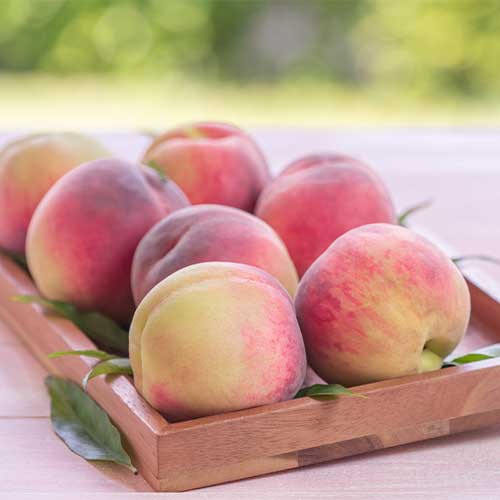 Virsik Haly Gali, С2 interface.image 1 interface.art 7992