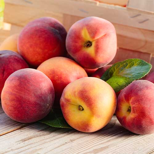 Virsik Romeo, C2 interface.image 1 interface.art 9678