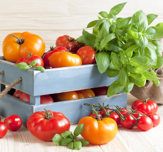 Köögiviljade seemned