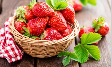 Ebatavaline magustoit | GradinaMax