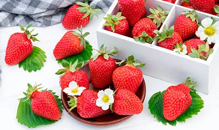 Ebatavaline magustoit | GradinaMax