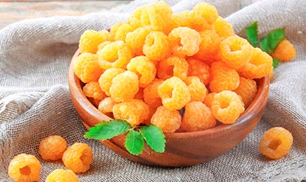 Magusad marjad | GradinaMax