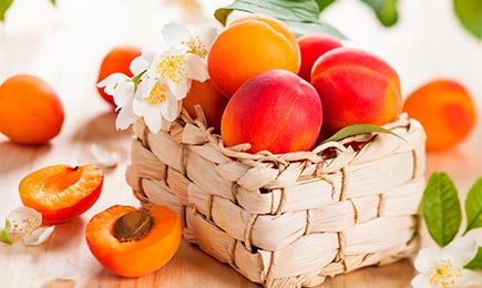 Mahlane maiuspala! | GradinaMax