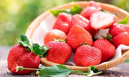 Maiasmokkade õnn | GradinaMax