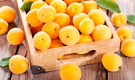 Mee maitse | GradinaMax