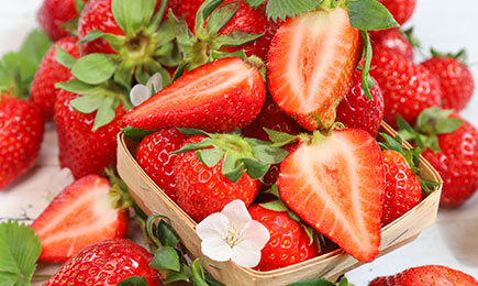 Mesi rõõmustab | GradinaMax