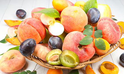 Patio aed | GradinaMax