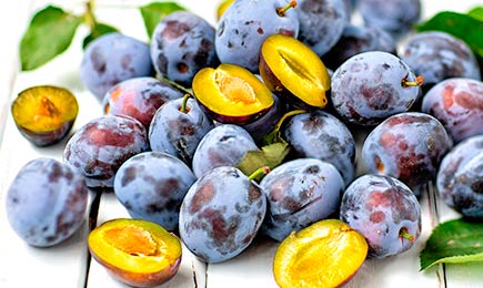 Suvine maitse | GradinaMax