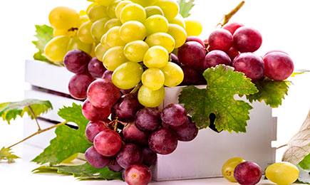 Viinamarjade ostmine | GradinaMax